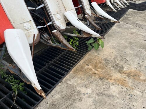 KUBOTA รถเกี่ยวนวดข้าว AR48 (4 แถว) #C0099 8 LINE ALBUM NT 2 C0099 KUBOTA AR48 260808 10